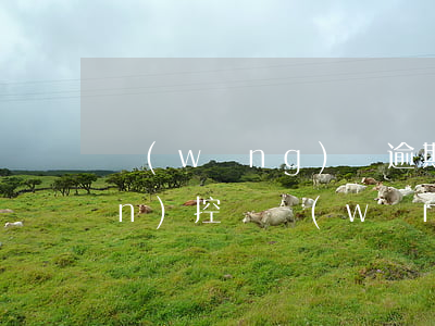 網(wǎng)貸逾期手機會被監(jiān)控嗎(網(wǎng)貸逾期有沒有被上門的)
