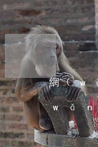 網(wǎng)貸逾期手機號可以換6(網(wǎng)貸逾期換掉手機號會有什么影響)