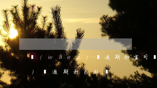 網(wǎng)貸逾期打官司（網(wǎng)貸逾期打包起訴）