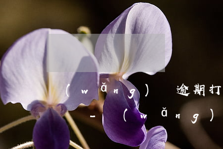網(wǎng)貸逾期打電話到村委可以舉報嗎-網(wǎng)貸逾期打電話到村委可以舉報嗎有用嗎