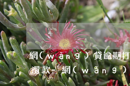 網(wǎng)貸逾期打電話沒接收到短信還款-網(wǎng)貸逾期打電話沒接收到短信還款通知