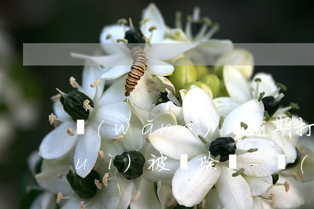 網(wǎng)貸逾期打電話給公司會(huì)被開除嗎-網(wǎng)貸逾期打電話給公司會(huì)被開除嗎知乎