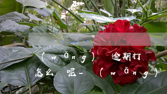 網(wǎng)貸逾期打電話給家人.我該怎么辦呢-網(wǎng)貸逾期打電話給家人.我該怎么辦呢
