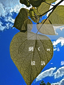 網(wǎng)貸逾期打電話給家人去哪里投訴-網(wǎng)貸逾期打電話給家人去哪里投訴呢