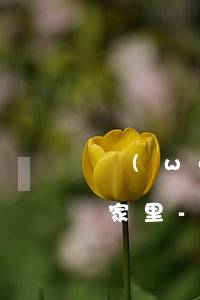 網(wǎng)貸逾期打電話說有外訪說去家里-網(wǎng)貸逾期打電話說有外訪說去家里是真的嗎