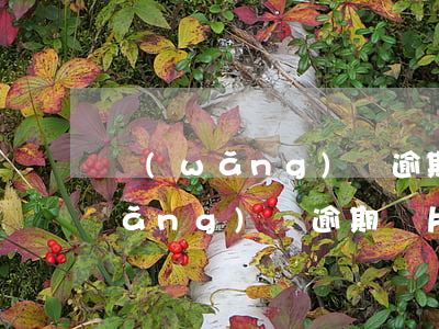 網(wǎng)貸逾期批圖不用還啦(網(wǎng)貸逾期圖片截圖)