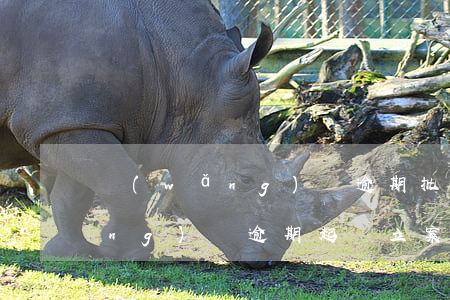 網(wǎng)貸逾期批量起訴-網(wǎng)貸逾期起訴立案標(biāo)準(zhǔn)