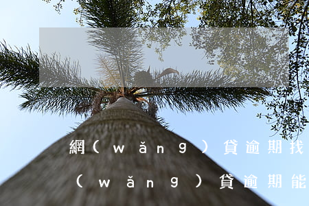 網(wǎng)貸逾期找中介辦信用卡(有網(wǎng)貸逾期能辦信用卡嗎)
