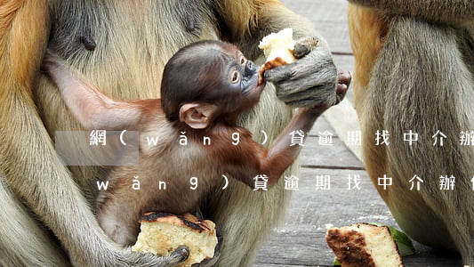 網(wǎng)貸逾期找中介辦信用卡(網(wǎng)貸逾期找中介辦信用卡有用嗎)