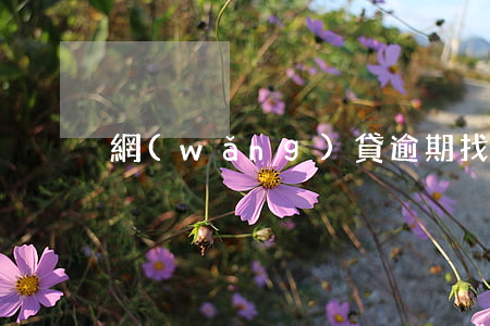 網(wǎng)貸逾期找了律師