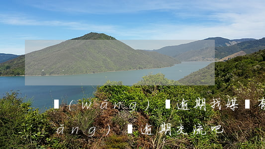 網(wǎng)貸逾期找媒體有用嗎(網(wǎng)貸逾期交流吧)