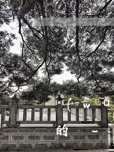 網(wǎng)貸逾期找律師停息掛賬是真的嗎-網(wǎng)貸逾期找律師停息掛賬是真的嗎嗎