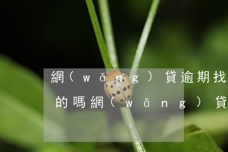 網(wǎng)貸逾期找律師停息掛賬是真的嗎(網(wǎng)貸逾期了律師聯(lián)系我了)