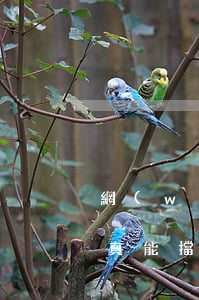 網(wǎng)貸逾期找法務(wù)處理真能擋住催收電話嗎-網(wǎng)貸逾期找法務(wù)處理真能擋住催收電話嗎
