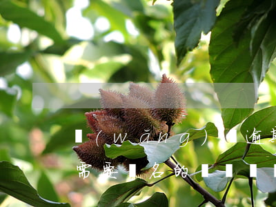 網(wǎng)貸逾期找法務(wù)處理需要實名的電話號碼-網(wǎng)貸逾期找法務(wù)處理需要實名的電話號碼嗎