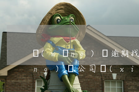 網(wǎng)貸逾期找第三方和網(wǎng)貸公司協(xié)商-網(wǎng)貸逾期找第三方和網(wǎng)貸公司協(xié)商有用嗎