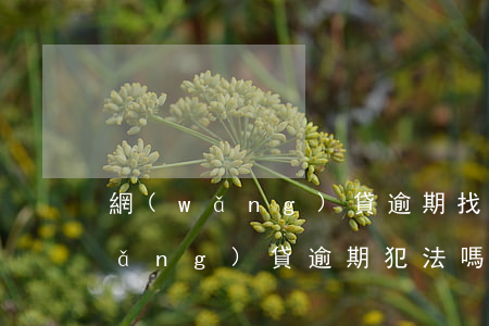 網(wǎng)貸逾期找親戚違法嗎(網(wǎng)貸逾期犯法嗎)