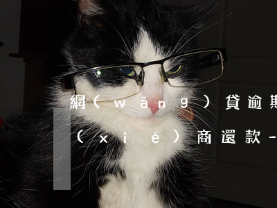 網(wǎng)貸逾期找誰(shuí)協(xié)商還款-網(wǎng)貸逾期找誰(shuí)協(xié)商還款最好
