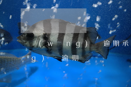 網(wǎng)貸逾期承包(多款網(wǎng)貸逾期)