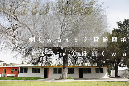 網(wǎng)貸逾期承擔(dān)刑事責(zé)任(網(wǎng)貸逾期算刑事案件嗎)