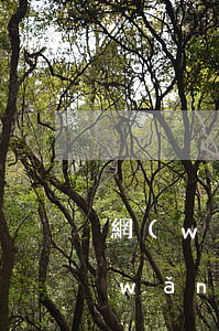 網(wǎng)貸逾期把照片P成遺照(網(wǎng)貸照片會被公布嗎)