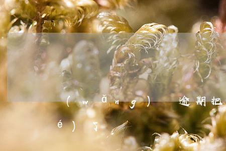 網(wǎng)貸逾期把父親卡凍結(jié)了