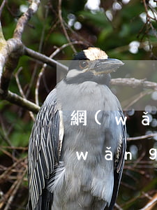 網(wǎng)貸逾期拍賣房子要多久(網(wǎng)貸逾期會拍賣房產(chǎn)嗎?)