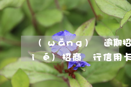 網(wǎng)貸逾期招行信用卡凍結(jié)(招商銀行信用卡逾期被凍結(jié)怎么辦解決)