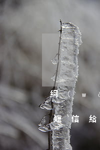網(wǎng)貸逾期拿我照片發(fā)短信給我朋友-網(wǎng)貸逾期拿我照片發(fā)短信給我朋友是真的嗎