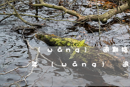 網(wǎng)貸逾期指標(biāo) 今年網(wǎng)貸逾期怎么辦
