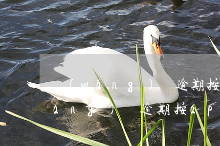 網(wǎng)貸逾期按app還款(網(wǎng)貸逾期按app還款)