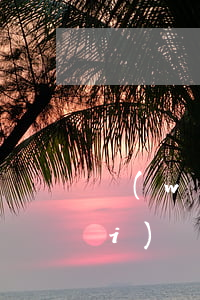 網(wǎng)貸逾期按揭房怎么賣(mài)(網(wǎng)貸逾期按揭房怎么賣(mài))