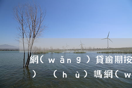 網(wǎng)貸逾期按揭房能過(guò)戶(hù)嗎(網(wǎng)貸逾期影響房子過(guò)戶(hù)嗎)