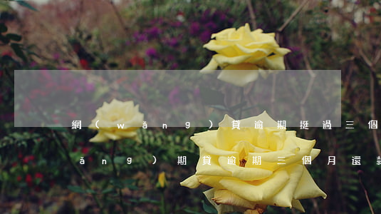 網(wǎng)貸逾期挺過三個階段(網(wǎng)期貸逾期三個月還款的后果)