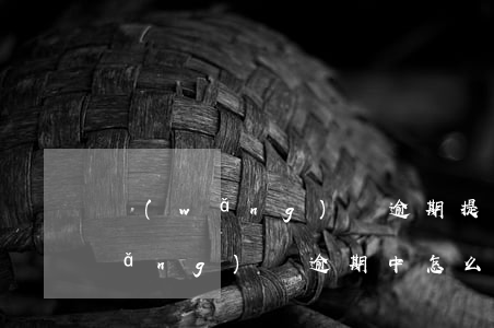 網(wǎng)貸逾期提前做好防范(網(wǎng)貸逾期中怎么自救)