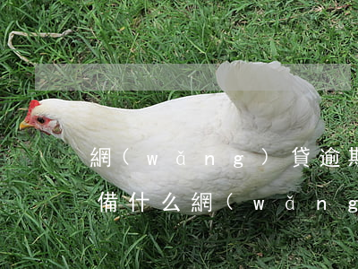 網(wǎng)貸逾期提前準(zhǔn)備什么(網(wǎng)貸逾期提前準(zhǔn)備什么)