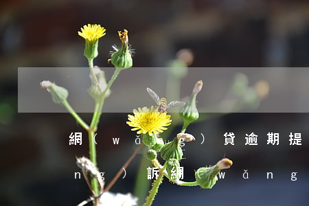 網(wǎng)貸逾期提醒我準備應(yīng)訴(網(wǎng)貸逾期說要起訴我)