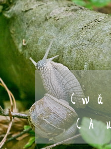 網(wǎng)貸逾期換了號(hào)碼會(huì)咋樣(網(wǎng)貸逾期換號(hào)碼有用嗎)
