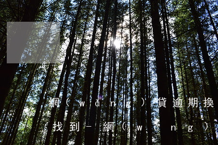 網(wǎng)貸逾期換了號碼為什么還能找到-網(wǎng)貸逾期換了號碼為什么還能找到人