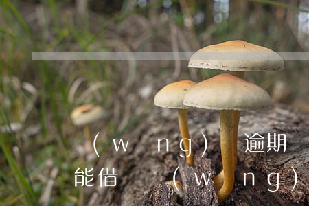 網(wǎng)貸逾期換號(hào)碼還能借嗎(網(wǎng)貸逾期換號(hào)碼還能借嗎)