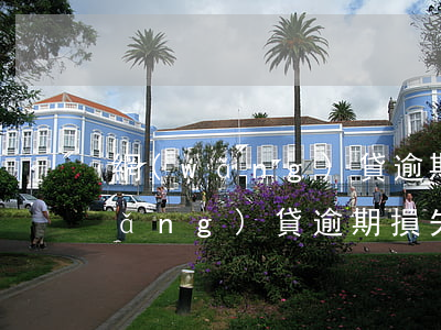 網(wǎng)貸逾期損失什么意思(網(wǎng)貸逾期損失什么意思)