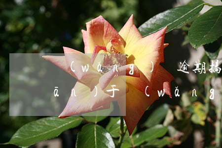 網(wǎng)貸逾期搞笑的段子(關(guān)于網(wǎng)貸的段子)