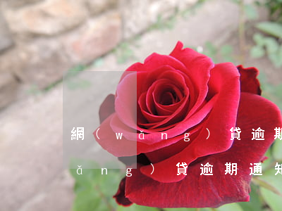 網(wǎng)貸逾期撤案通知短信(網(wǎng)貸逾期通知短信內(nèi)容)