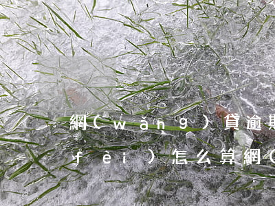 網(wǎng)貸逾期擔(dān)保費(fèi)怎么算(網(wǎng)貸逾期費(fèi)用怎么算)