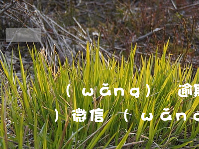 網(wǎng)貸逾期支付令凍結(jié)微信(網(wǎng)貸逾期支付令凍結(jié)微信零錢沒有凍結(jié)銀行卡)