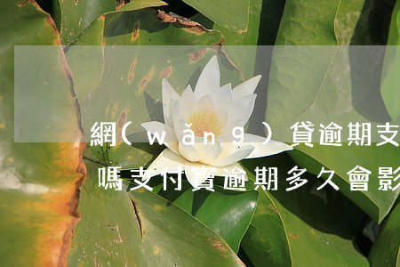 網(wǎng)貸逾期支付寶信用會受影響嗎(支付寶逾期多久會影響信用)