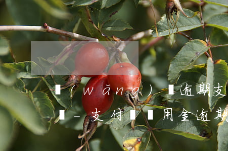 網(wǎng)貸逾期支付寶備用金有影響沒-支付寶備用金逾期了會影響以后貸款嗎