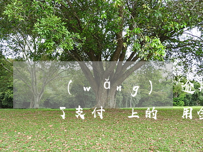 網(wǎng)貸逾期支付寶備用金用不了了(支付寶上的備用金逾期怎么辦)