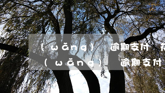 網(wǎng)貸逾期支付寶花唄還能用-網(wǎng)貸逾期支付寶花唄還能用,征信黑嗎