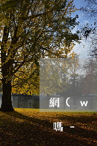 網(wǎng)貸逾期支付寶里的錢會被劃嗎-別的網(wǎng)貸逾期影響支付寶借款嗎